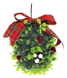 mistletoe mistletoe